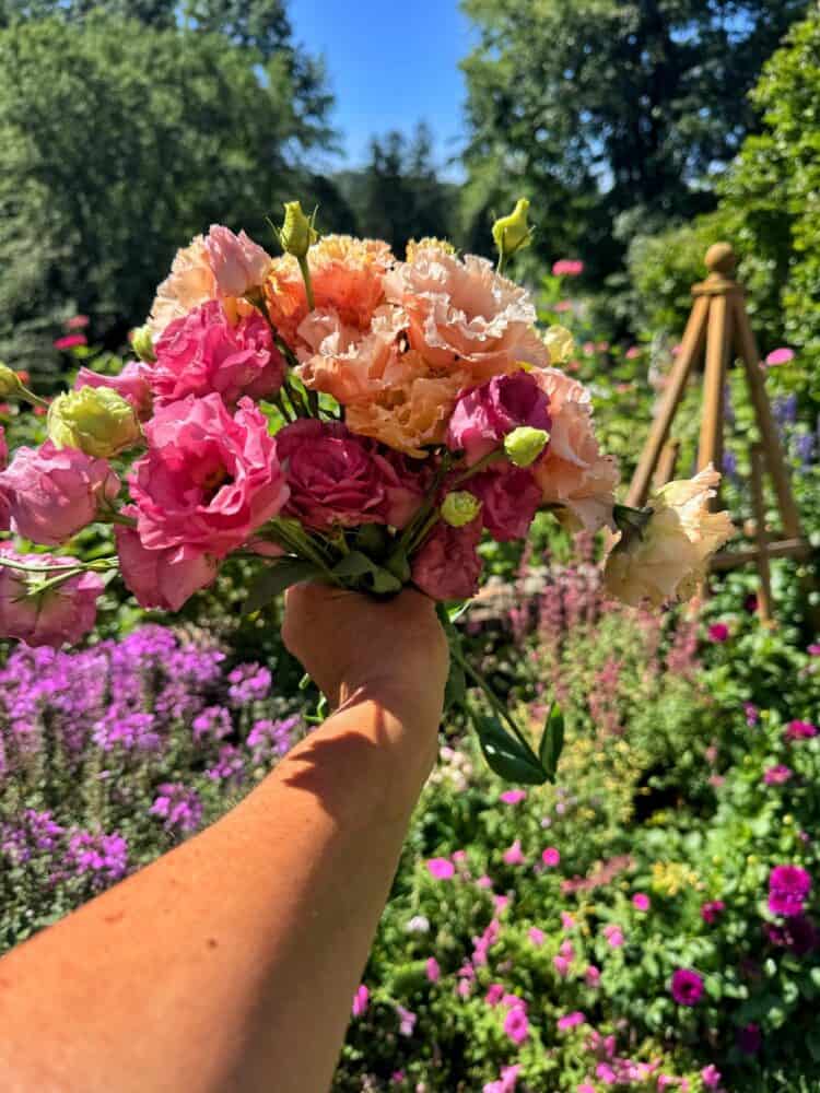 A hand holds a bouquet of pink and peach lisianthus flowers in a sunlit garden filled with purple blooms and greenery. A wooden garden structure is visible in the background under a clear blue sky.