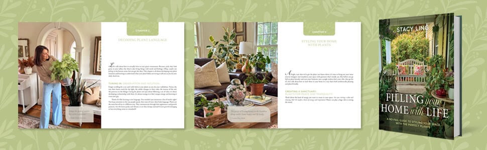 A woman arranges a large houseplant. Two book pages show plant decor tips with photos of plant-filled interiors. The book cover, &ldquo;Filling Your Home with Life,&rdquo; is on the right. Green leafy background.