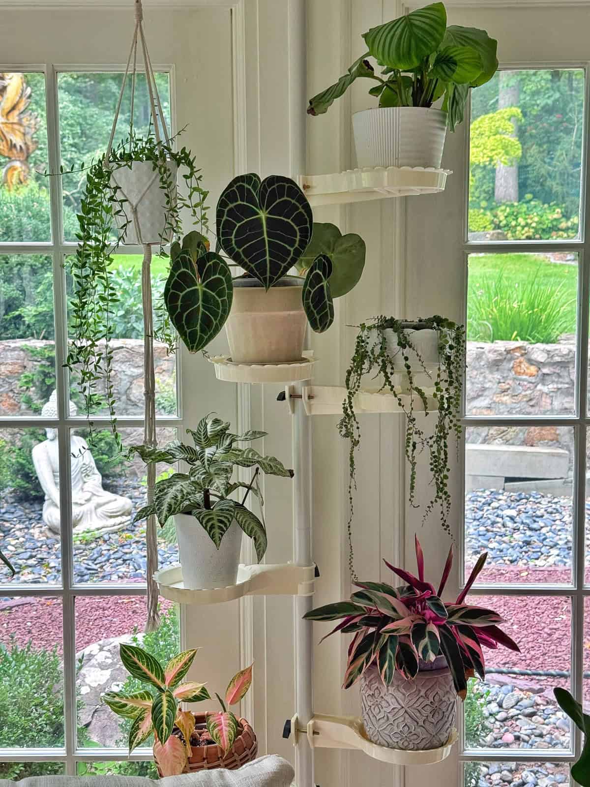 Six potted houseplants sit on white corner shelves by tall glass doors. The background outside is green with trees, rocks, and a stone Buddha statue in a garden.