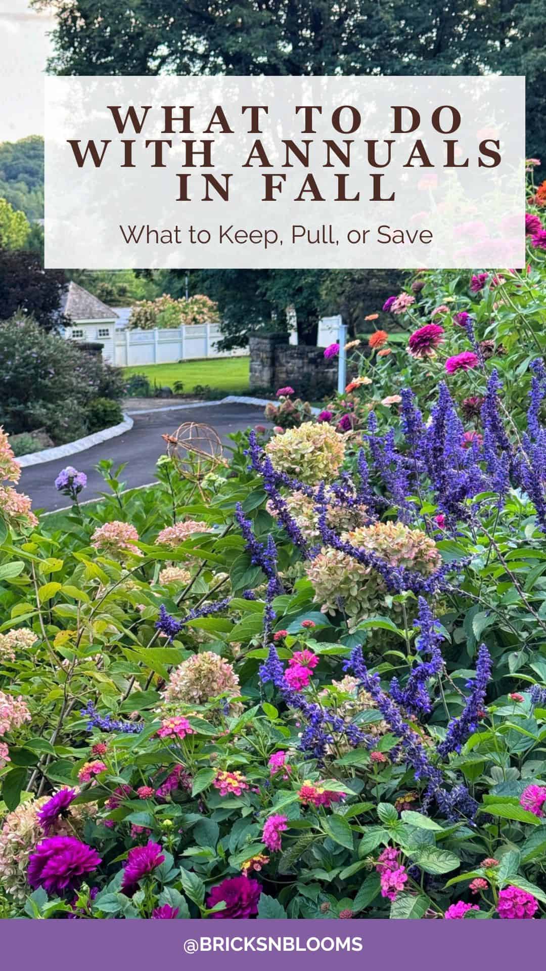 A colorful garden with blooming annual flowers in fall, a white fence, trees, and a house in the background. Text overlay gives tips for fall garden care for annuals.