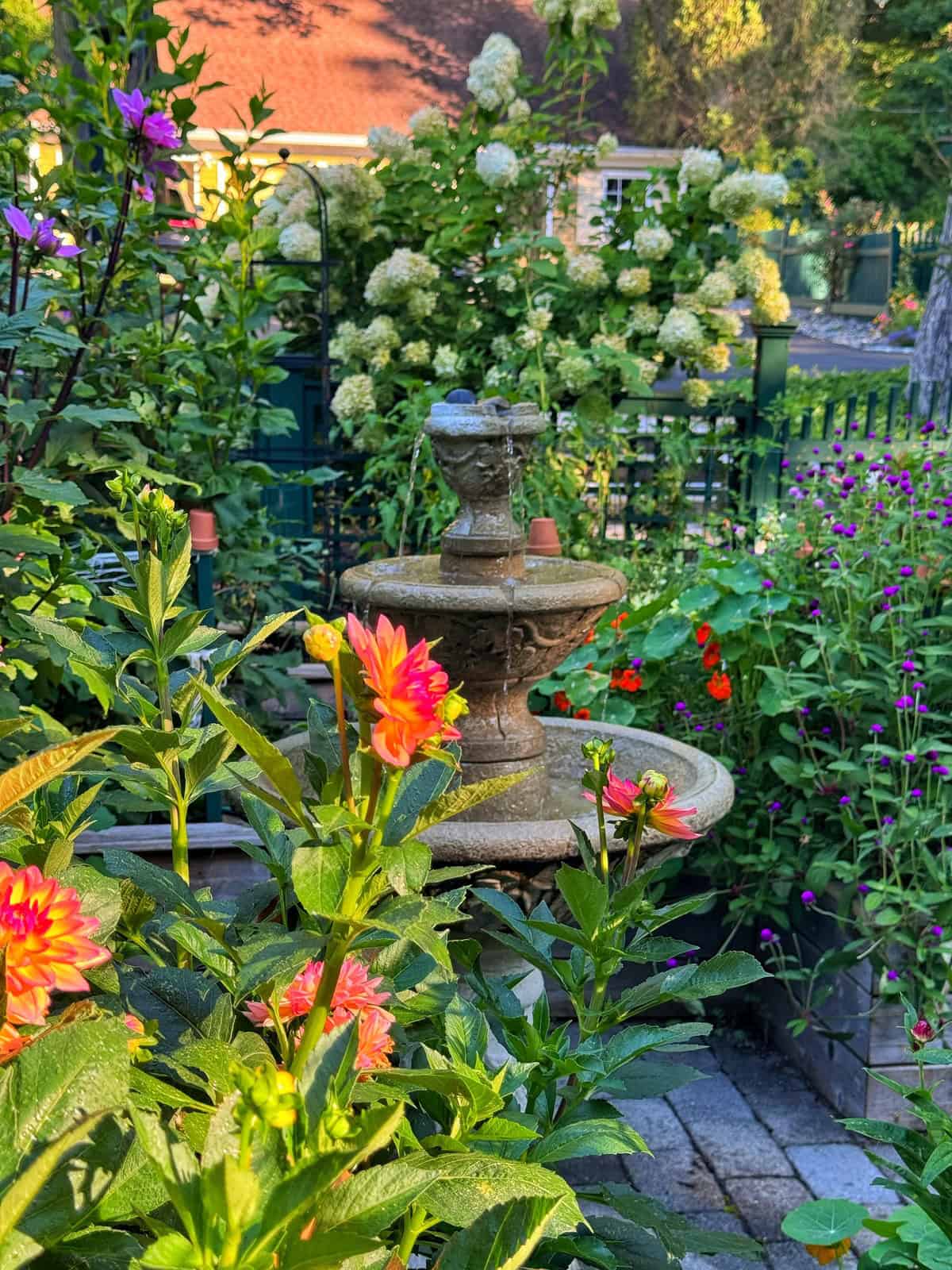 A stone fountain surrounded by blooming flowers and green plants in a garden, with a house and more greenery visible in the background on a sunny day.