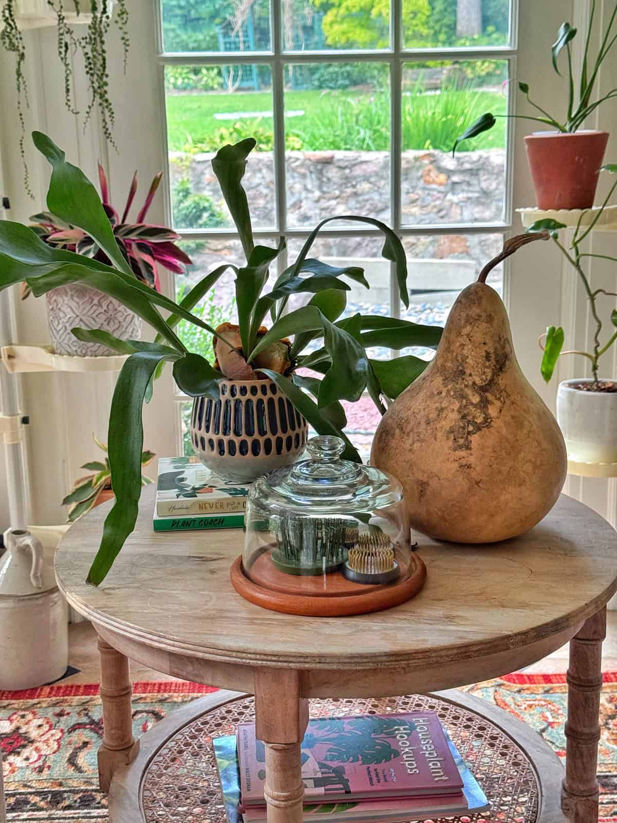 A round wooden table with potted plants, a large gourd, books, and a glass-covered moss display, set in a sunlit room with large windows and greenery outside.