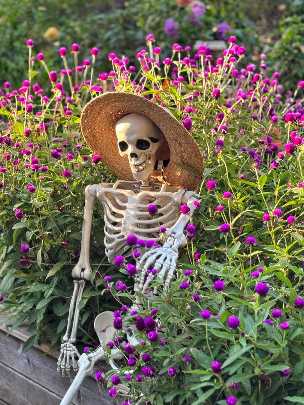 A skeleton wearing a straw hat sits nestled among purple globe amaranth flowers.
