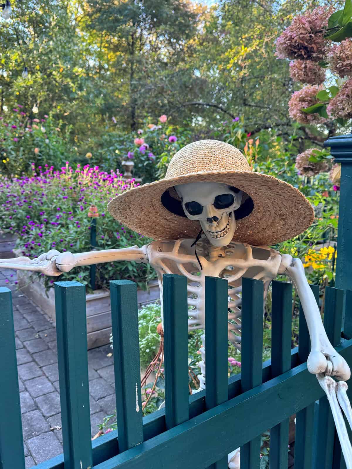 A skeleton wearing a straw sun hat leans against a green picket fence in a garden.