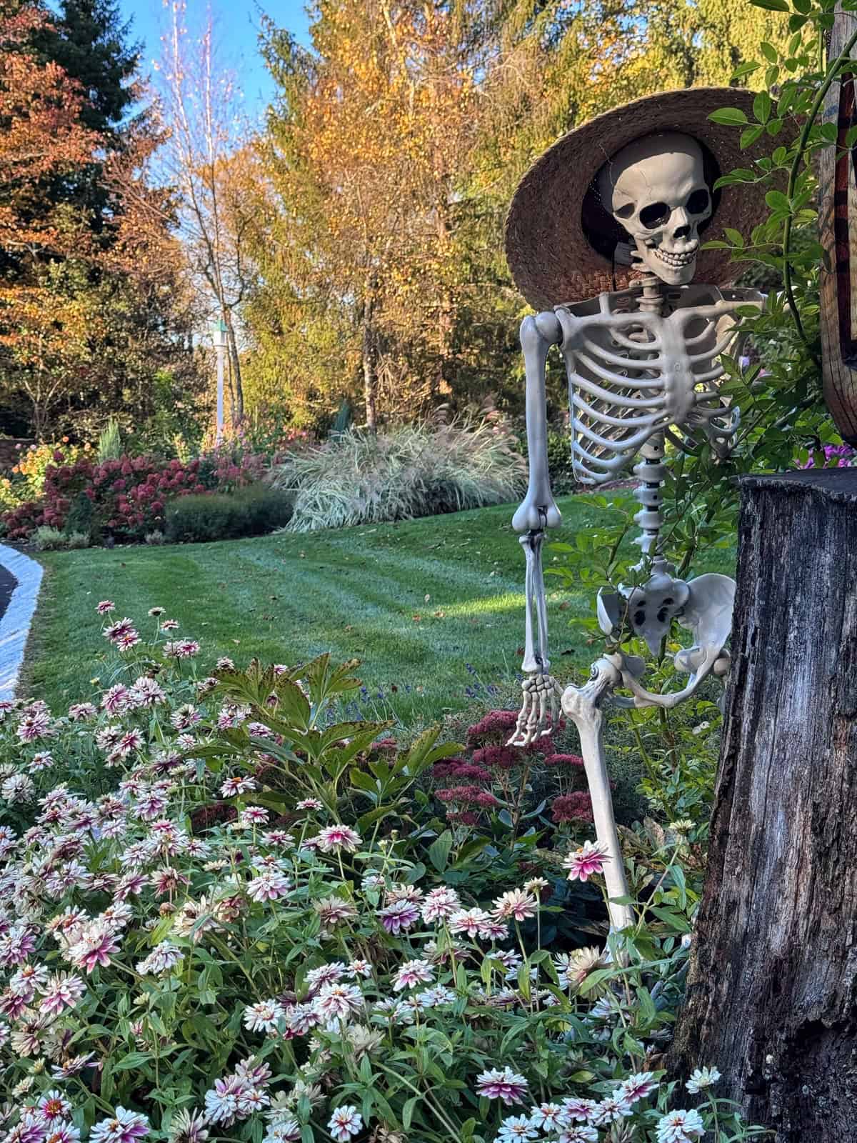 A decorative skeleton wearing a straw hat stands next to a wooden post in a garden filled with white and purple flowers.