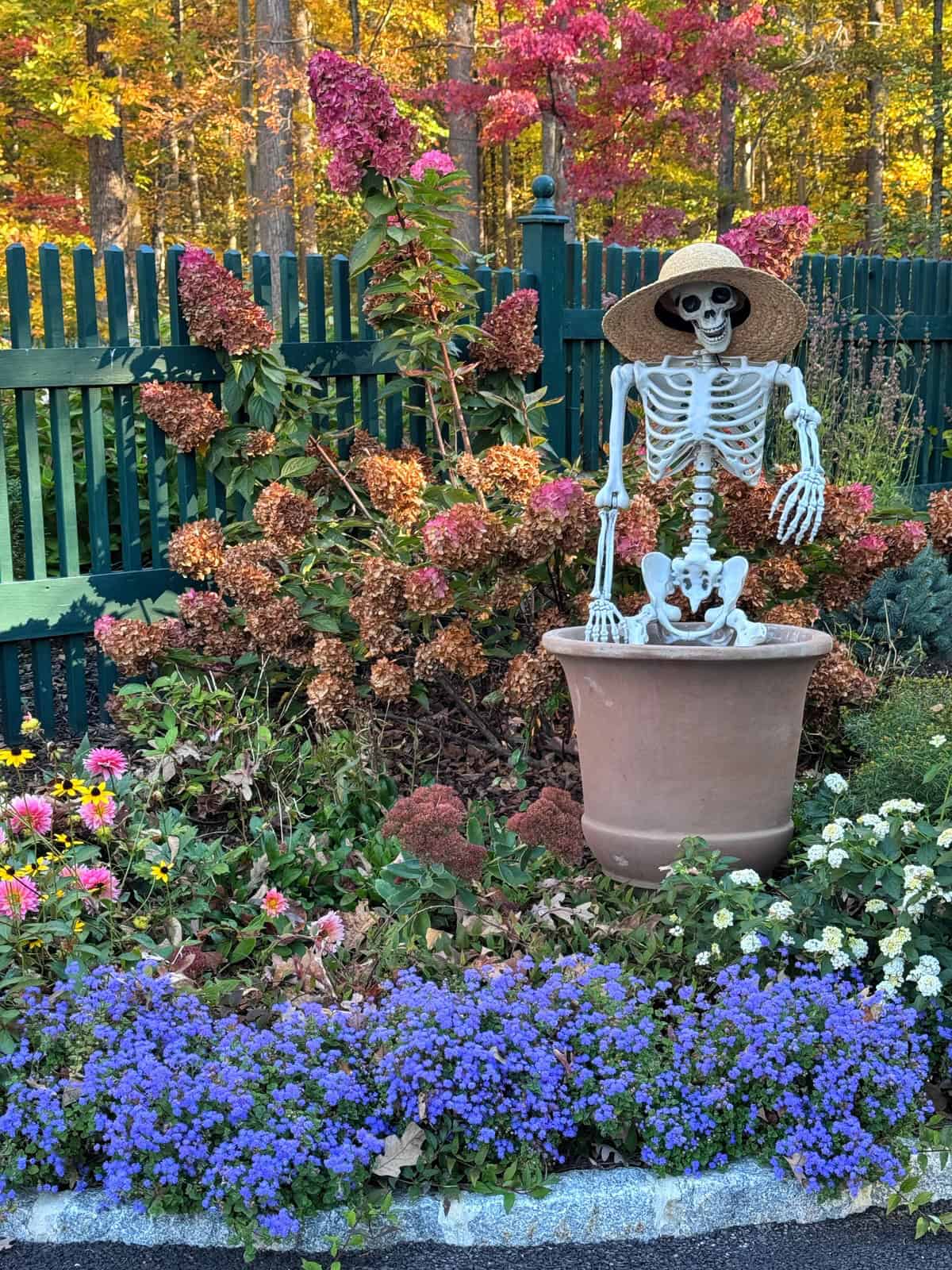 A plastic skeleton wearing a straw hat sits inside a large flower pot in a garden.